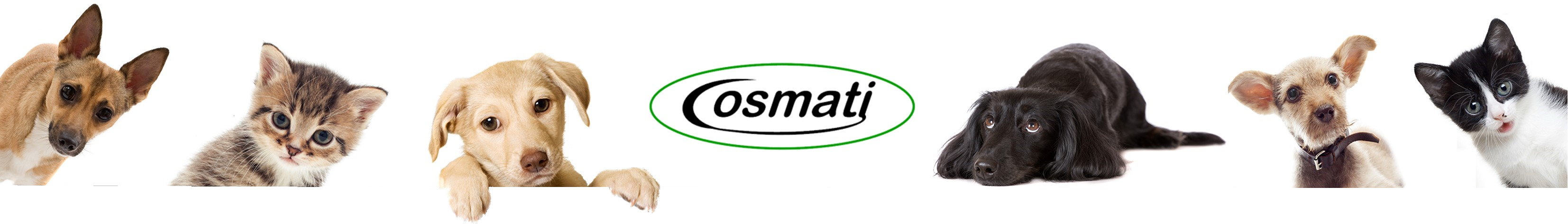 Cosmati for Dog